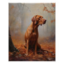 Suche nach vizsla poster Herbst