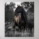 Suche nach schwarz weißes pferd poster Modern