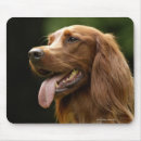 Suche nach seitenansicht mousepads Profil