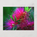 Suche nach neon mit blumen postkarten Natur