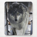 Suche nach alpha wolf mousepads Hunde
