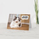 Recherche de thons cartes postales Humour