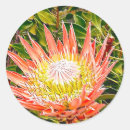 Suche nach blumenbilder aufkleber Blumenreich