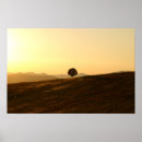 Suche nach einsamer baum poster Sonnenuntergang