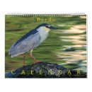 Recherche de oiseau calendriers Coloré