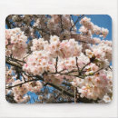 Suche nach blühende bäume mousepads Natur