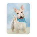 Suche nach scottish terrier magnete Schotter