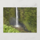 Suche nach akaka fälle postkarten Tropisch