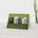 Recherche de pub vœux cartes Chien