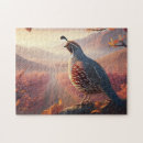 Recherche de californie puzzles Beau