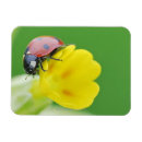 Recherche de foyer sélectif magnets Chasse d'animaux