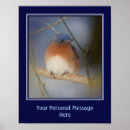 Recherche de oiseaux bleus posters Mère