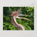 Recherche de trier cartes postales Nature