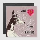 Suche nach besitz alle karten Dogs