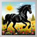 Suche nach schwarzes pferd poster Freiheit