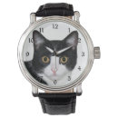 Recherche de felins montres Amoureux des chats
