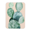 Suche nach kaktus magnete Küstenlinie