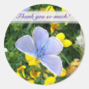 Suche nach insekten aufkleber Sommer