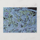 Recherche de bouche humaine posters Partie du corps humain