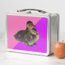 Suche nach enten brotdosen Vögel