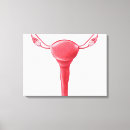 Suche nach düngung poster Medizin