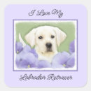 Suche nach labrador retriever aufkleber Welpe