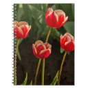 Suche nach rhododendron kleine notizbücher Superstock