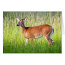 Suche nach weißer hirsch karten Dad