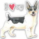 Recherche de roosevelt Chien