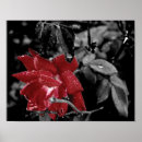 Recherche de éclaboussure rouge posters Noir et blanc