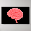 Suche nach menschliche organe poster Anatomie