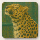 Recherche de leopard dessous de verres Animal sauvage