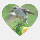 Suche nach spottdrossel aufkleber Vögel