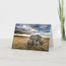 Suche nach weißer rhino postkarten Wildtiere