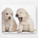 Suche nach woche mousepads Tier