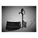 Suche nach hydranten poster Fotografie