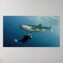 Recherche de plongée sous marine posters Nature