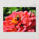 Recherche de bourdons cartes postales Rouge