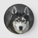Suche nach husky wanduhren Tier
