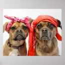 Recherche de chien de carlin art Drôle