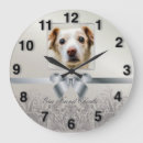 Recherche de sympathie art Animal