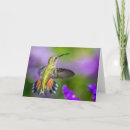 Recherche de allen photographie Colibri