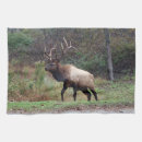 Suche nach stier… geschirr tücher Küchentücher