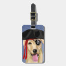 Recherche de labrador jaune Pirate
