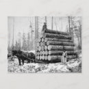 Recherche de charge cartes postales Cheval