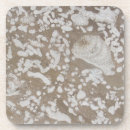 Recherche de paléontologie bar Géologie