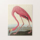 Recherche de audubon de jame de john Américain