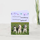 Suche nach huskies karten Sibirischer husky