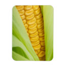 Recherche de légume magnets Frais