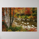 Recherche de cours de couleurs art Forêt